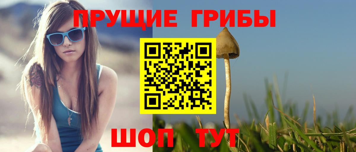 Галлюциногенные грибы мухоморы  купить наркоту  Псилоцибиновые грибы мухоморы  Рославль  Вход с VPN 